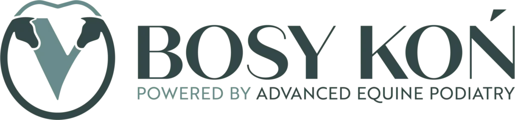 BosyKoń